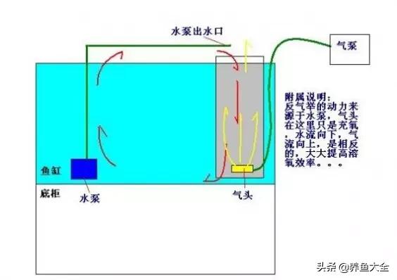 鱼缸过滤详细讲解,学会这一招鱼缸清澈