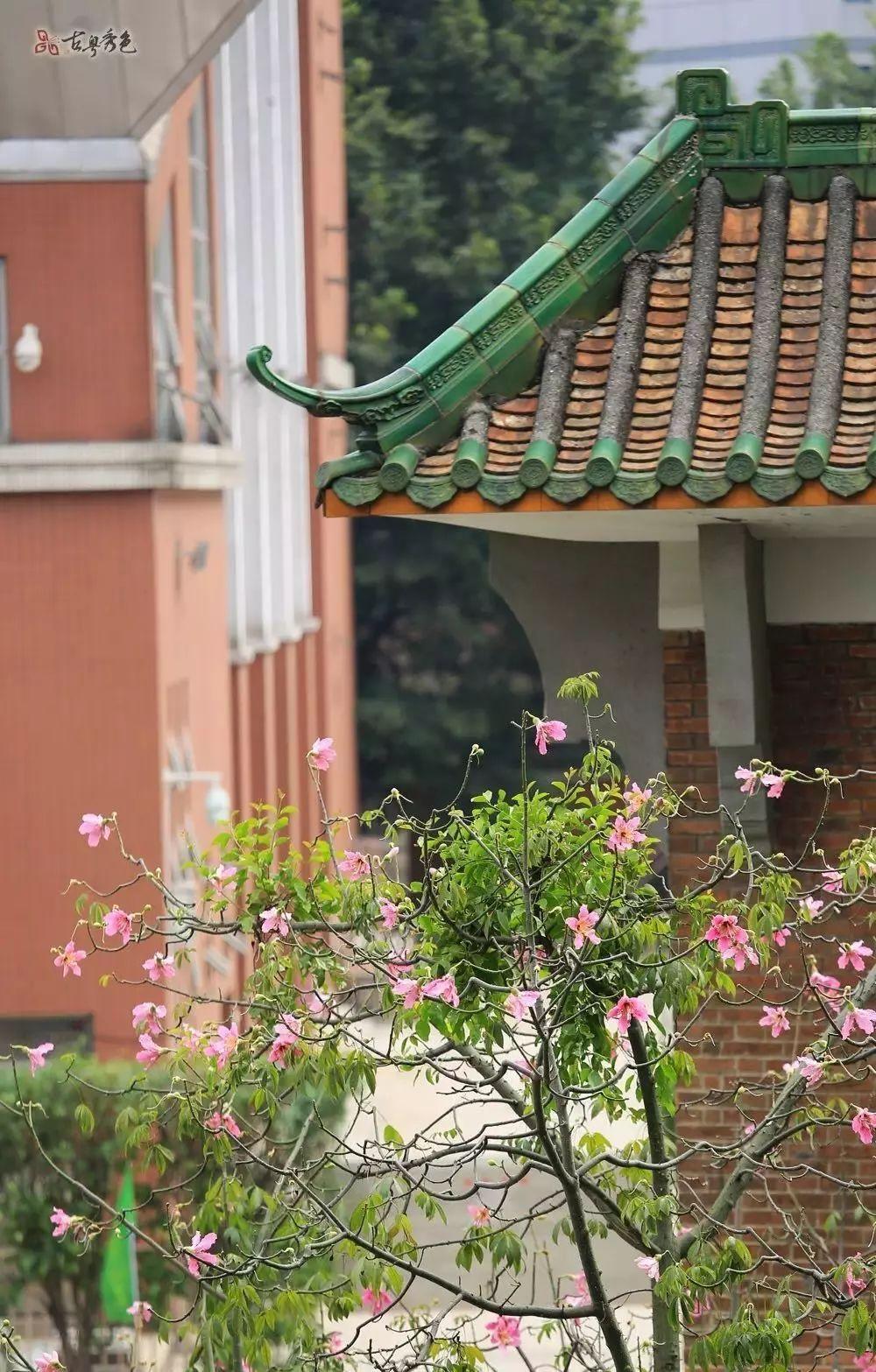 广州最美中学是哪间？这一所你一定服气！