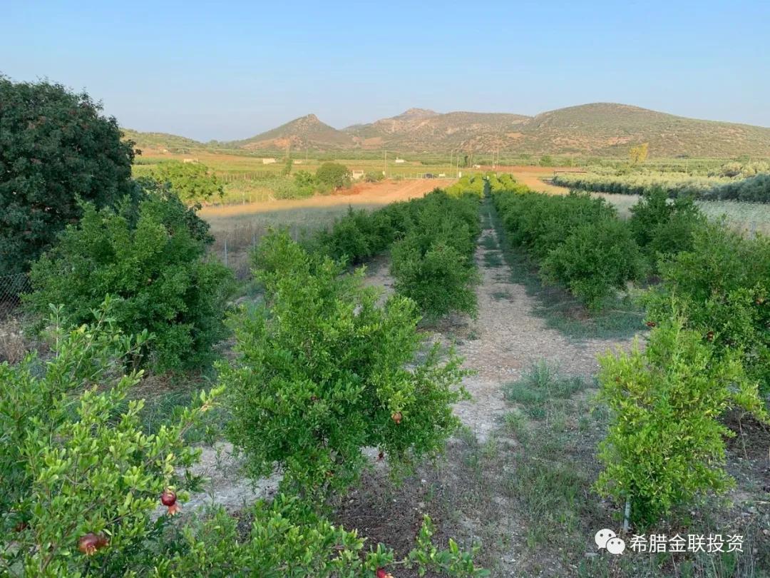 希腊农地价格,希腊土地多少钱一亩