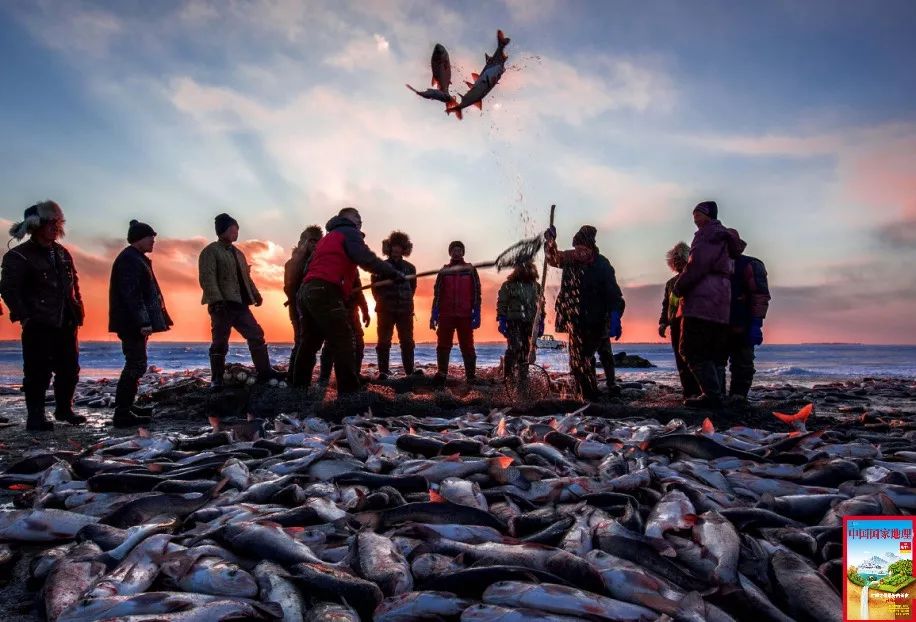 从地头到餐桌物流真快,从田头到餐桌上的美食
