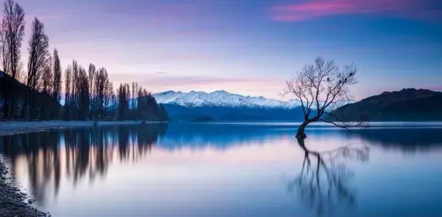 新西兰tauranga旅行,新西兰旅行到底要花多少钱