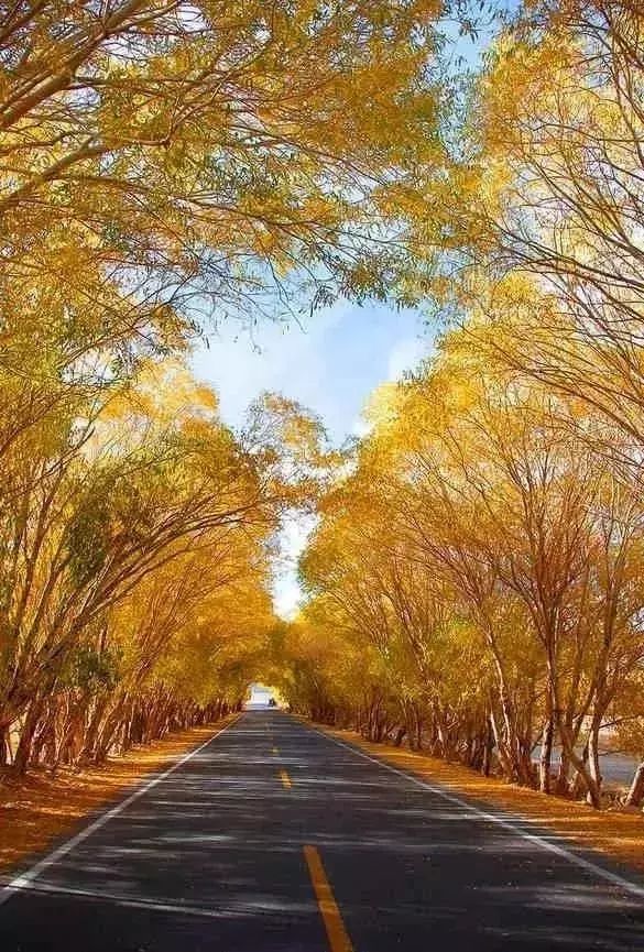 新疆喀什到巴基斯坦需要怎么过去,喀什通巴基斯坦公路