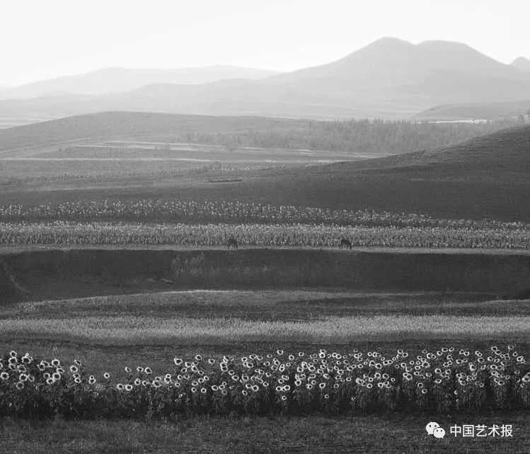 梁达明高明,梁达明摄影讲座