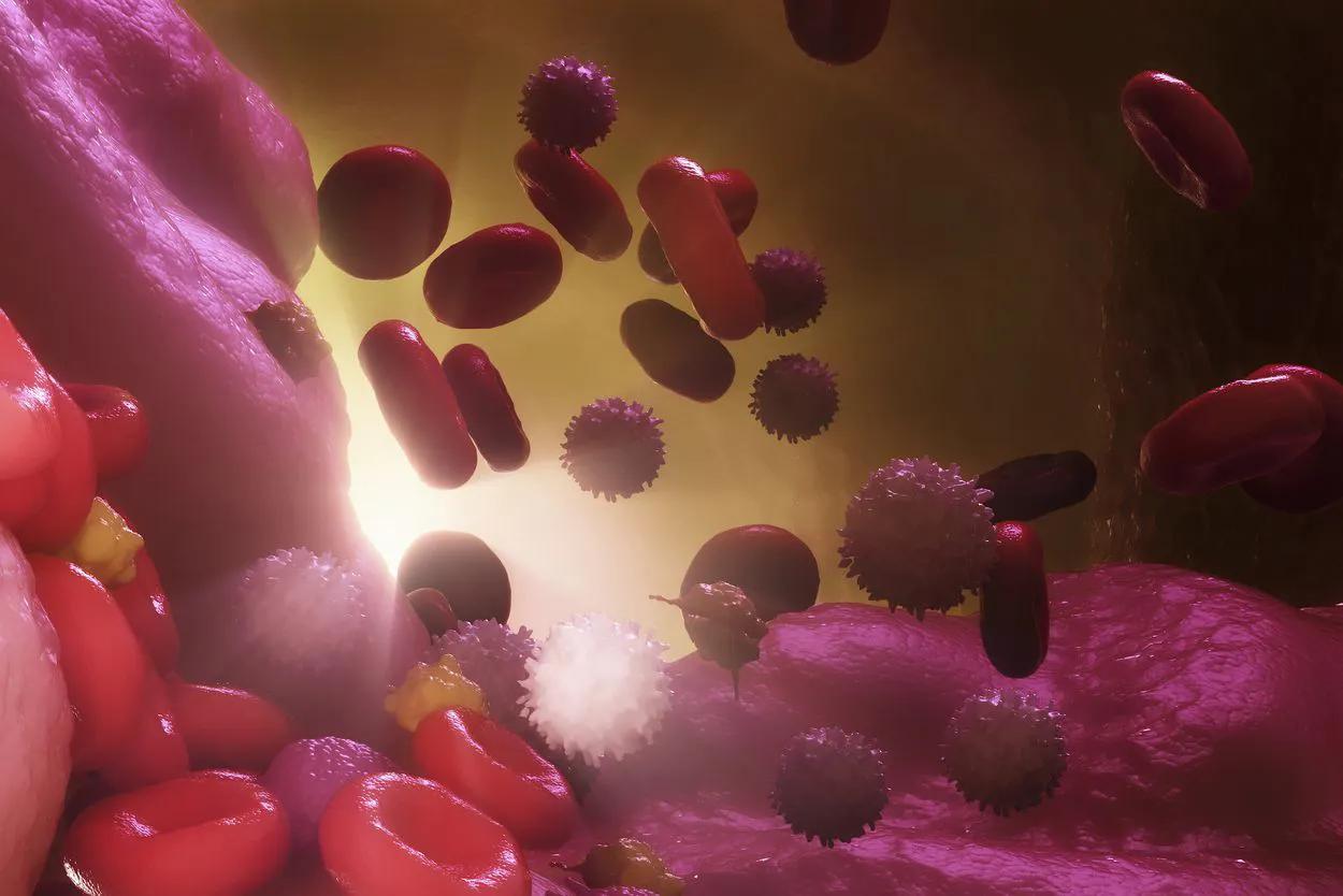 12个动物器官系统