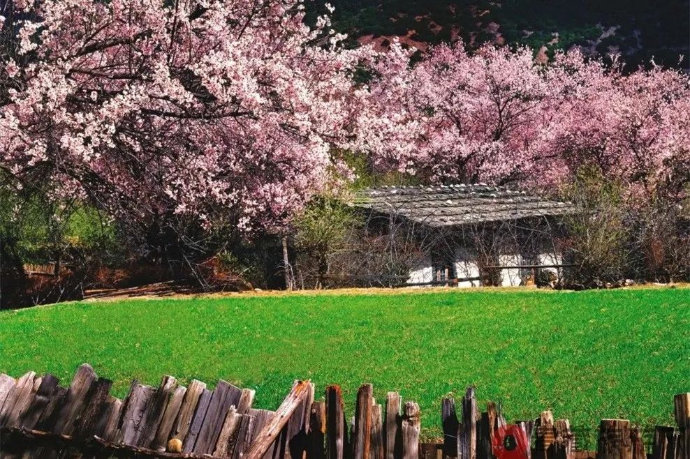 有一种风情叫江南烟雨,波密塞外江南