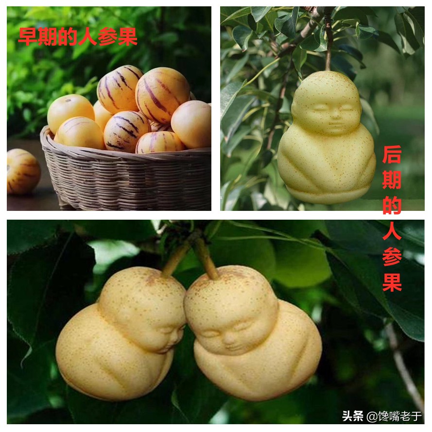 饱受差评的5种水果,没吃时很好奇,吃过后极度后悔,你吃过几种