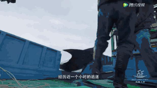 鱼丸小吃一般用什么鱼肉,鱼丸里面真的是有香精吗