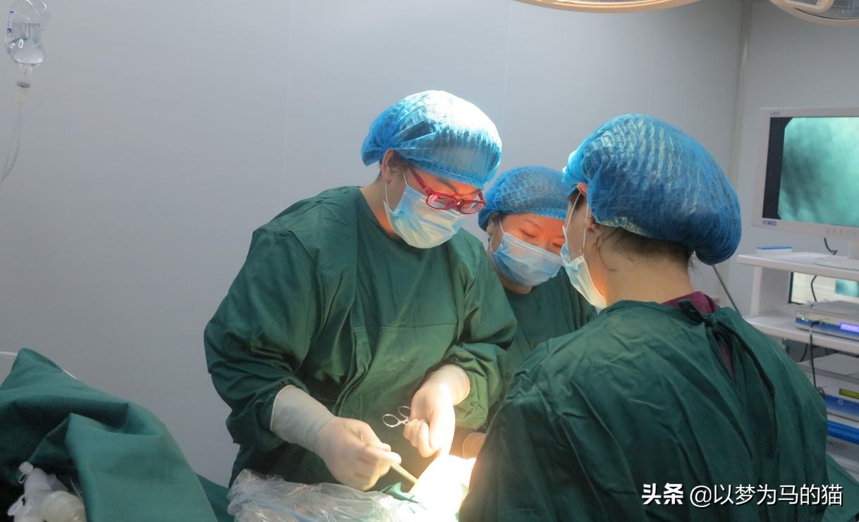 医学最难找工作的专业,比较缺人的职业