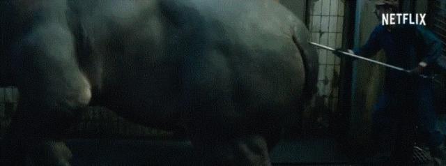 高口碑商业片电影,娱乐性连续剧