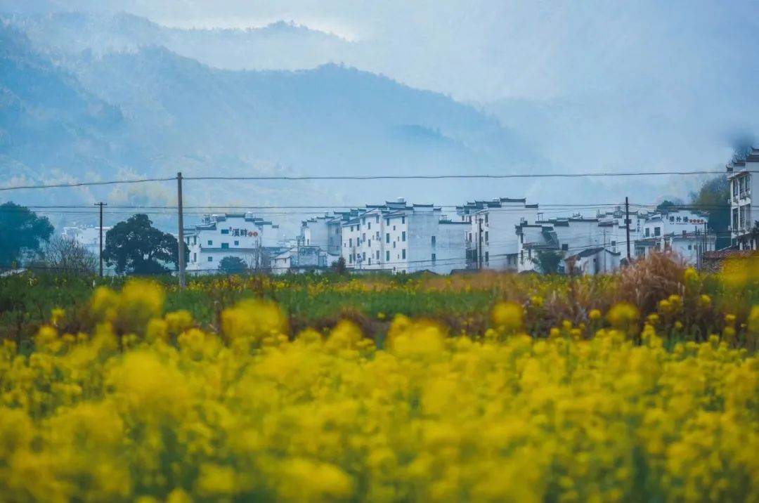 江西婺源秋季风景区有哪些景点,江西婺源景区开放