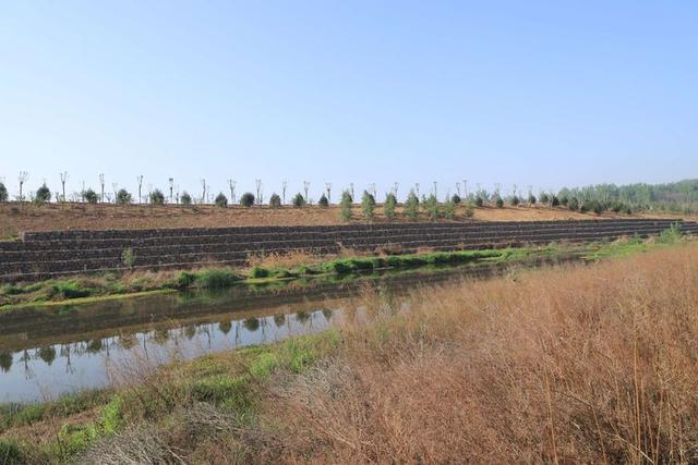 浠ユ按娑﹀煄,娑﹀煄娌抽亾娌荤悊宸ョ▼