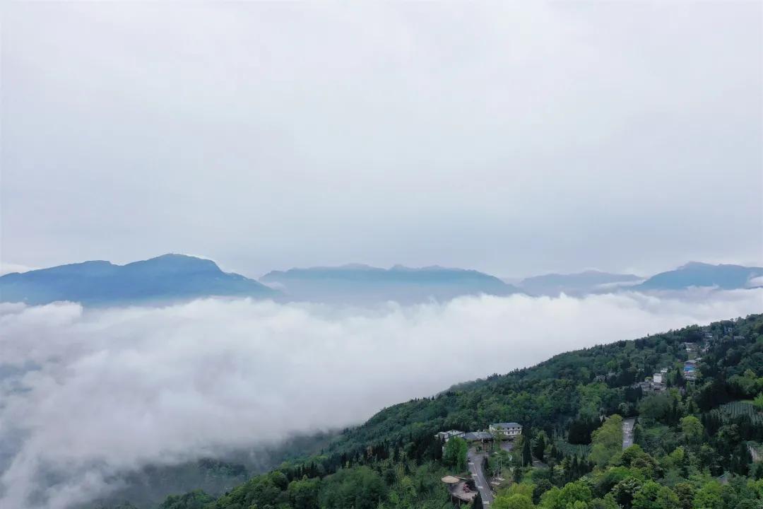 又见蒙顶云海，蒙顶山皇茶大酒店“观海”视野刚刚好！