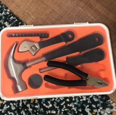 猫咪省钱好物维生素,猫咪必买的10种单品