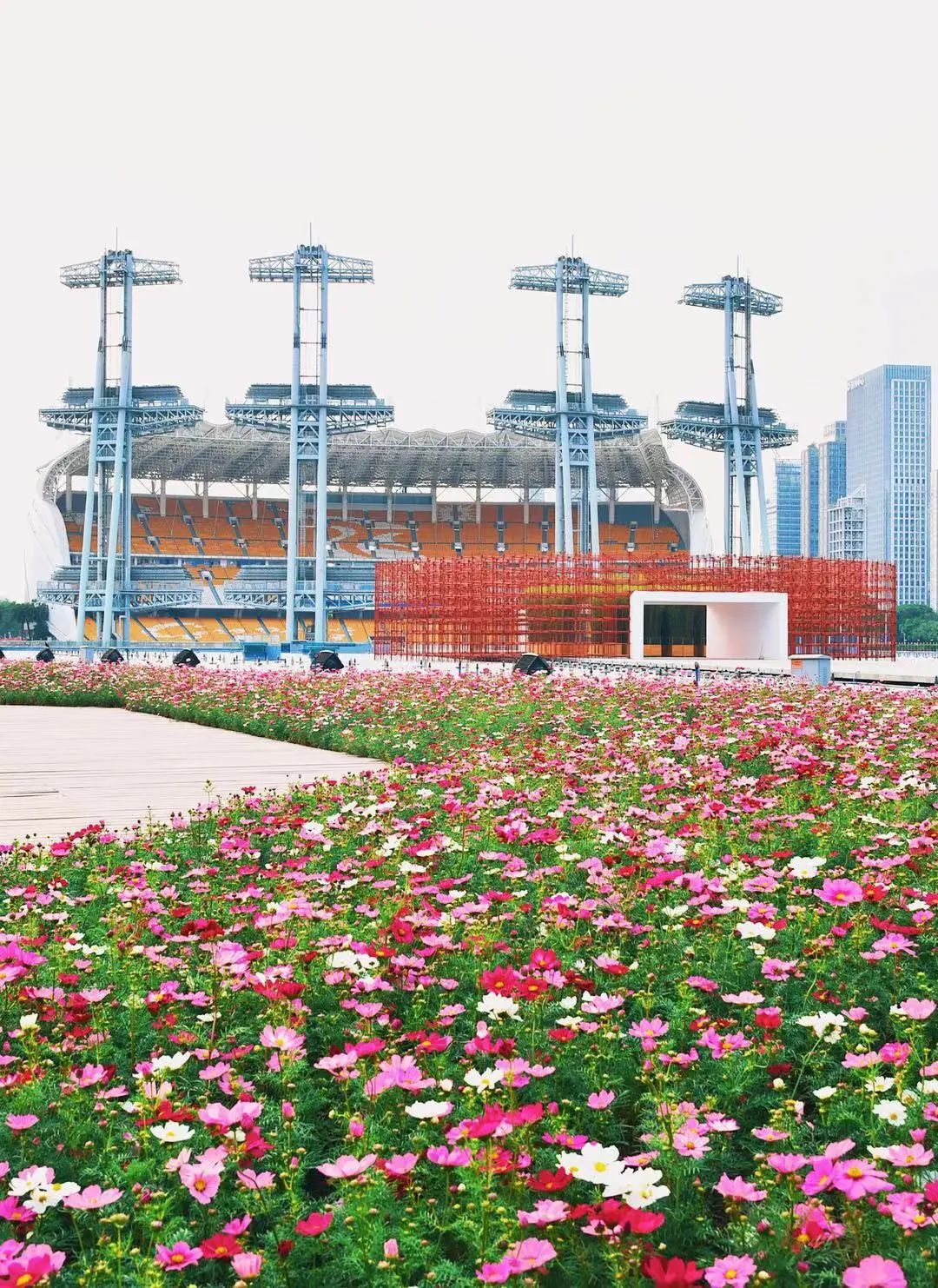 海心沙的花海美爆了,广州海心沙花海