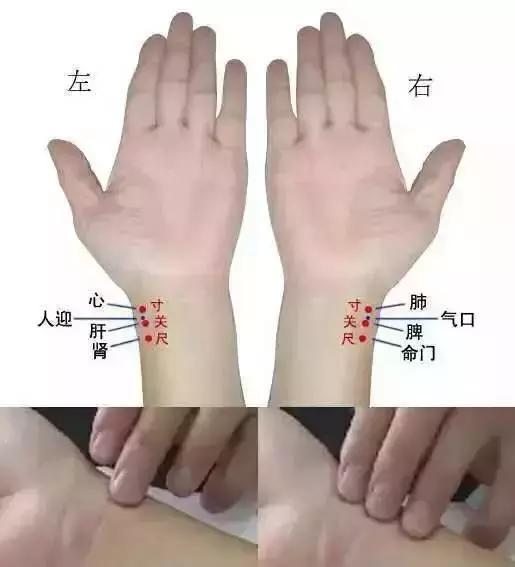 手腕脉象依次代表什么,手腕脉象对照表