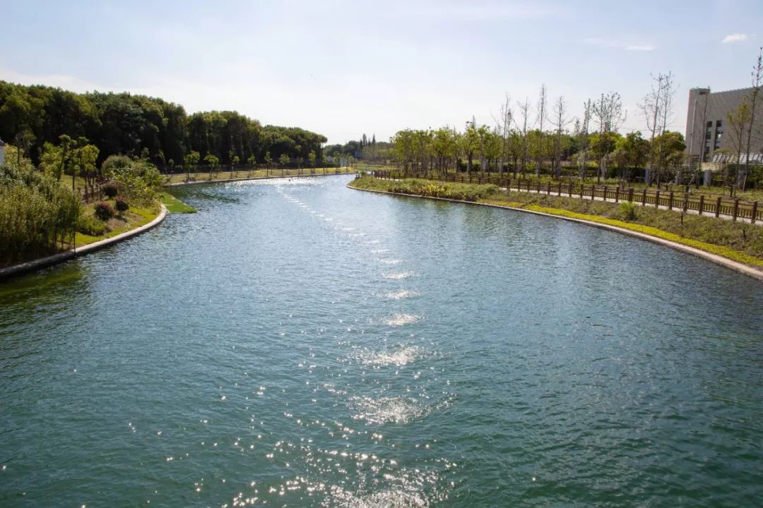 进博的温度,进博热度