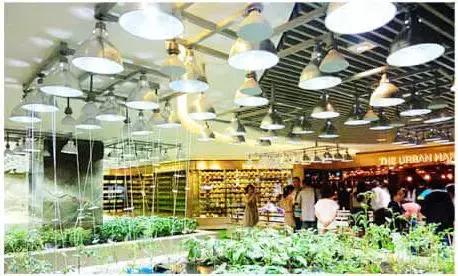 新型农庄发展趋势,特色农庄发展问题