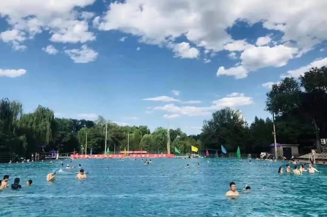 看了冬奥会感受,看了奥运会