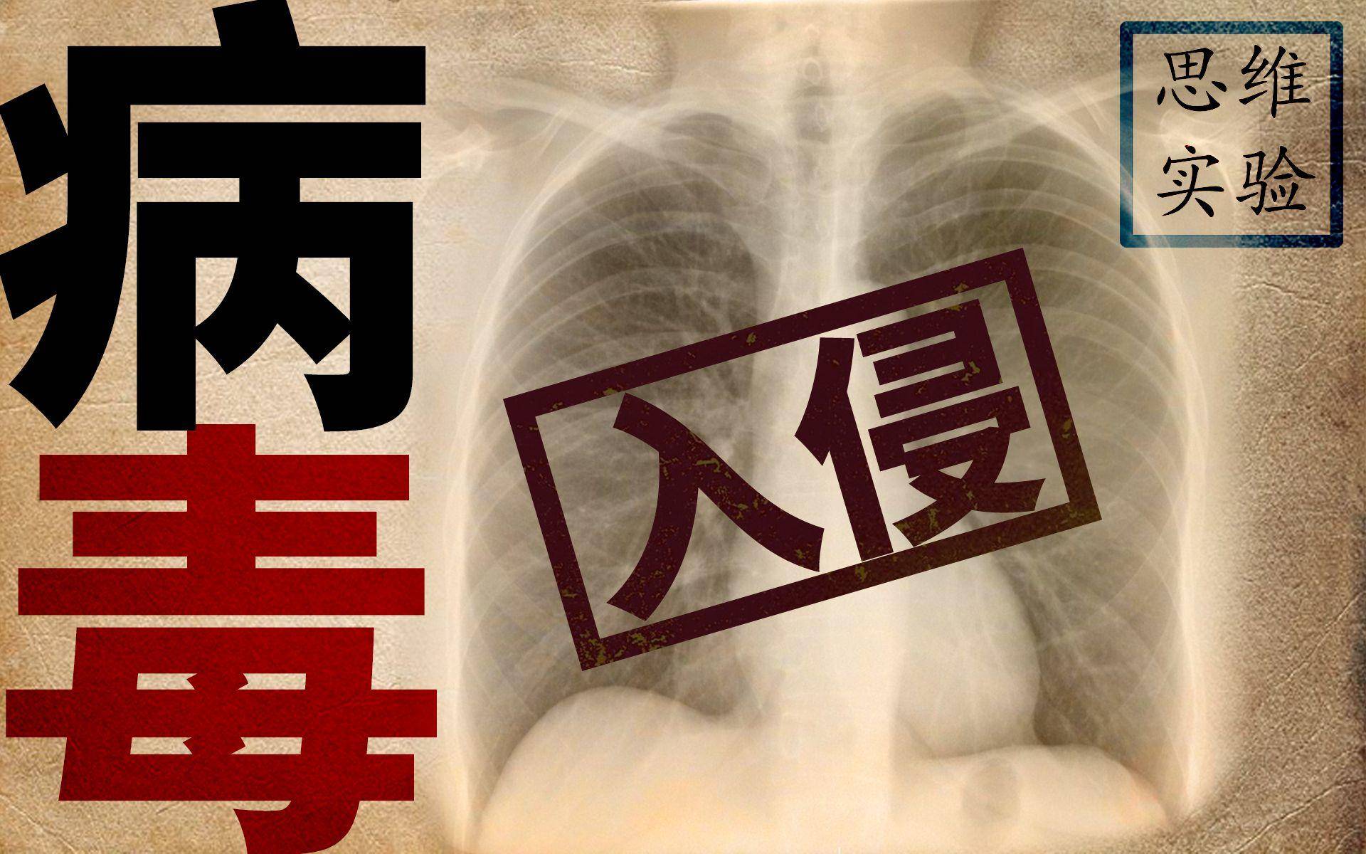 在家不无聊系列,在家不会无聊的视频