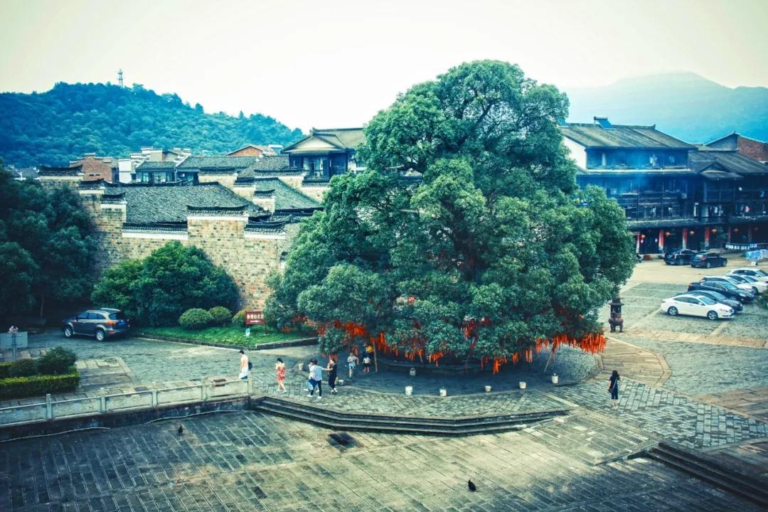 江西鹰潭这个城市怎么样,鹰潭一个人打卡的地方