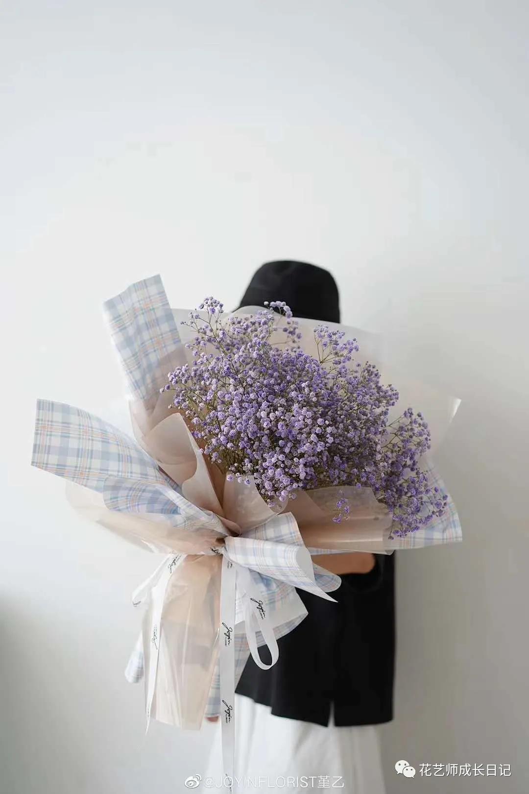 满天星什么色好看,推荐好看颜色满天星