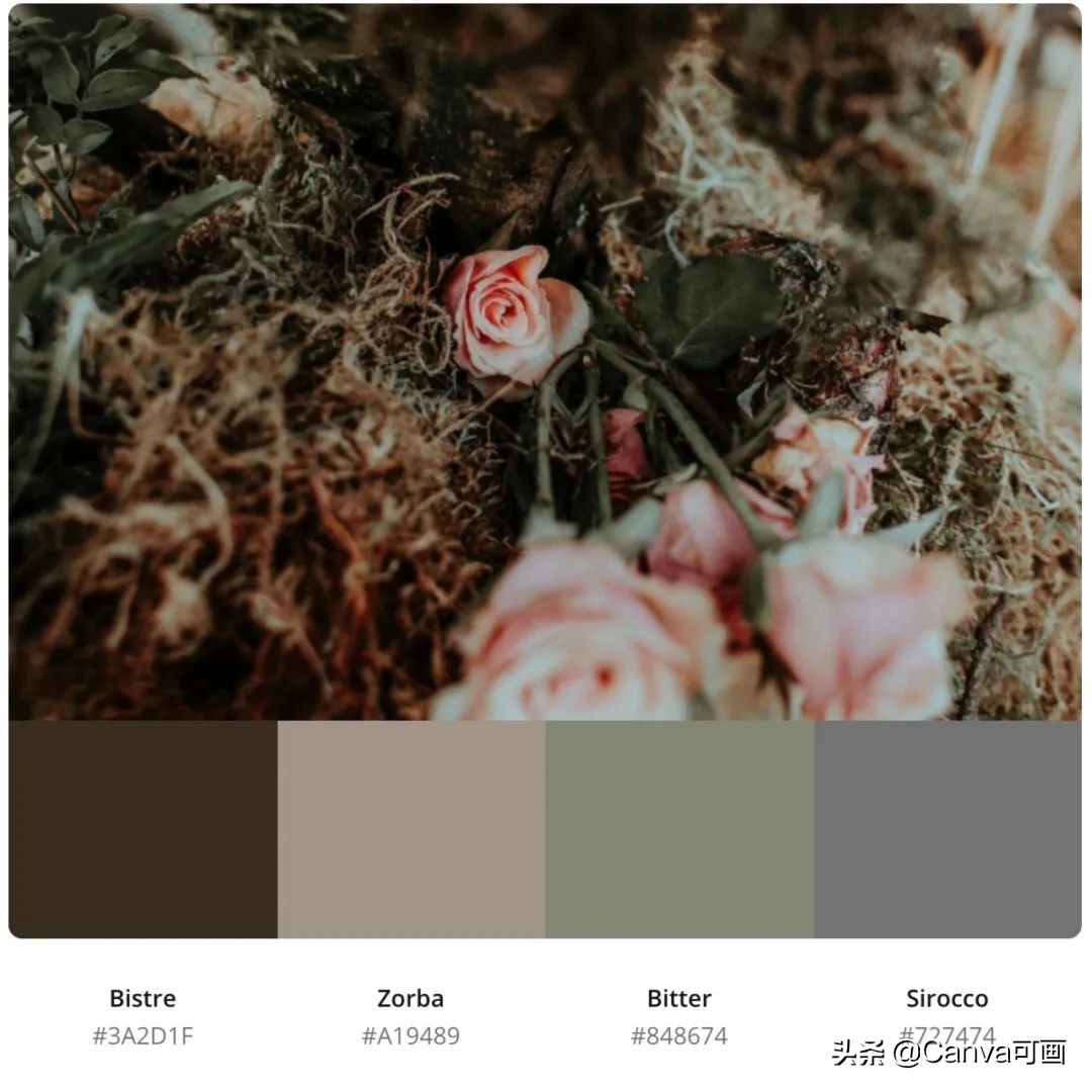 秋天配色插画秋高气爽,秋季高清插画