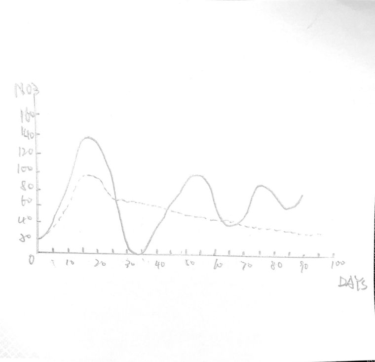 为什么国人对鱼情有独钟,为什么有的人对鱼那么痴迷