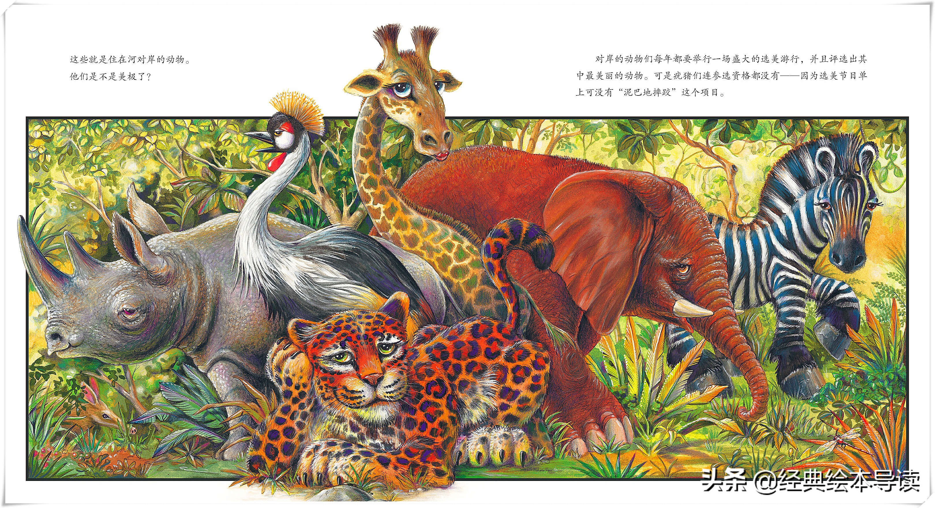 “弱势”与卑微生命的愿望——《阿吉的许愿鼓》导读