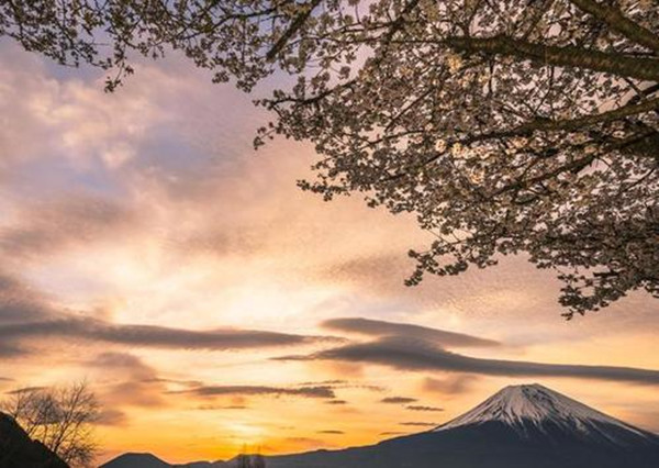 庄子养生之道是一种消极哲学,庄子的养生哲学教你养生又养心