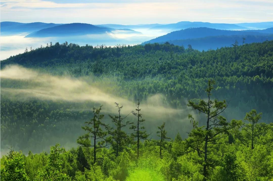 惠州星河丹堤是哪个片区,惠州星河丹堤房子值得买吗