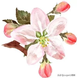 我懒！拒绝太复杂的，这个蛋糕好，哈哈，今晚就翻她牌子了