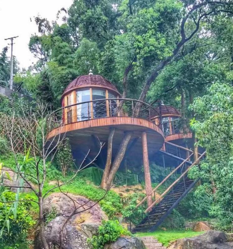 平阳最值得一去的地方,平阳一日游最佳去处青街