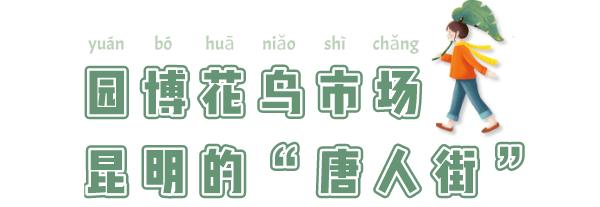 逛逛园博花鸟市场,园博花鸟市场攻略