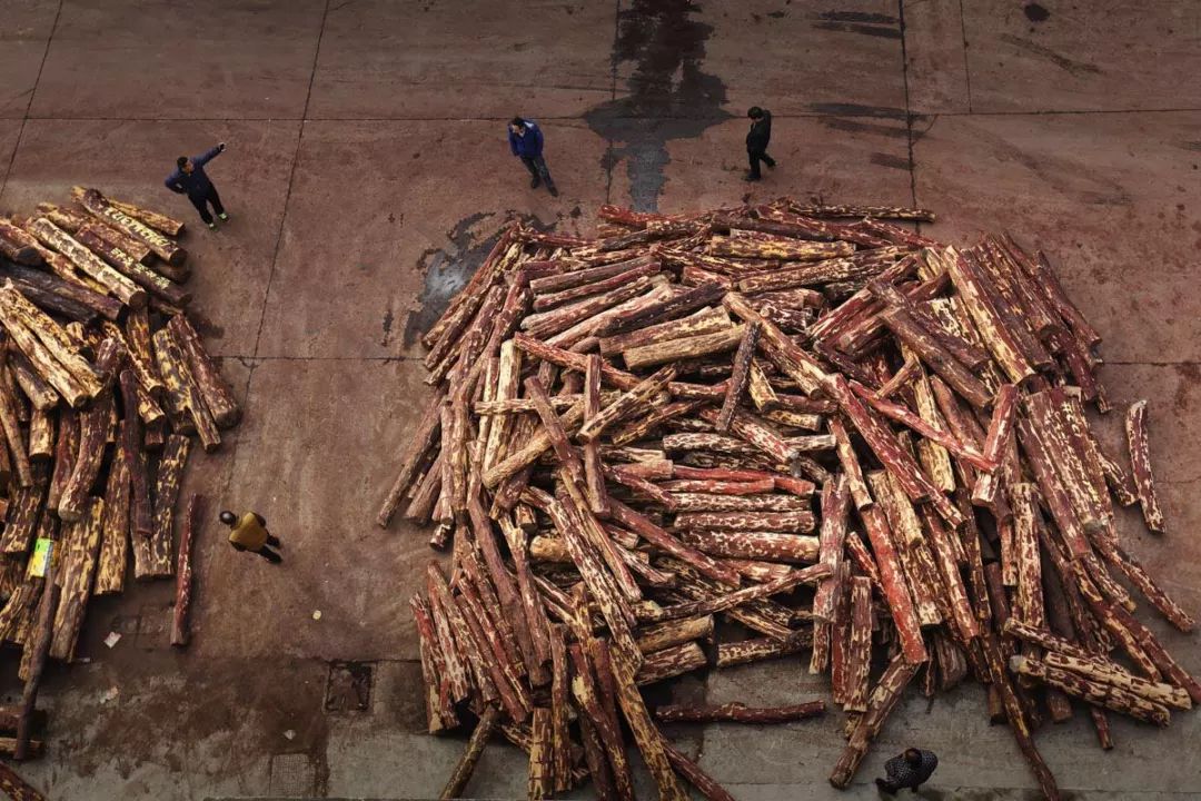 红木血檀最新消息,血檀带出去丢人吗