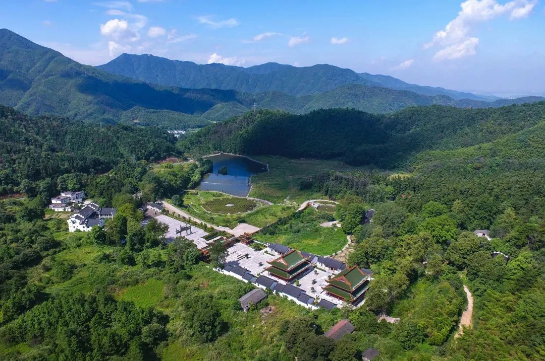 一杯美酒醉春风,一杯醇酿醉春风全文