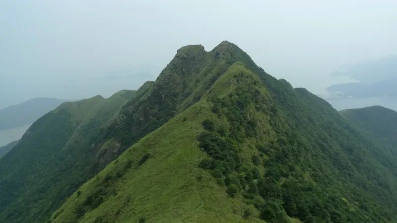 屹立凤凰顶,全览明珠貌