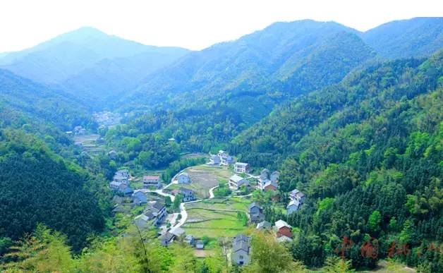 湖南益阳被救女孩,湖南益阳女子被救助