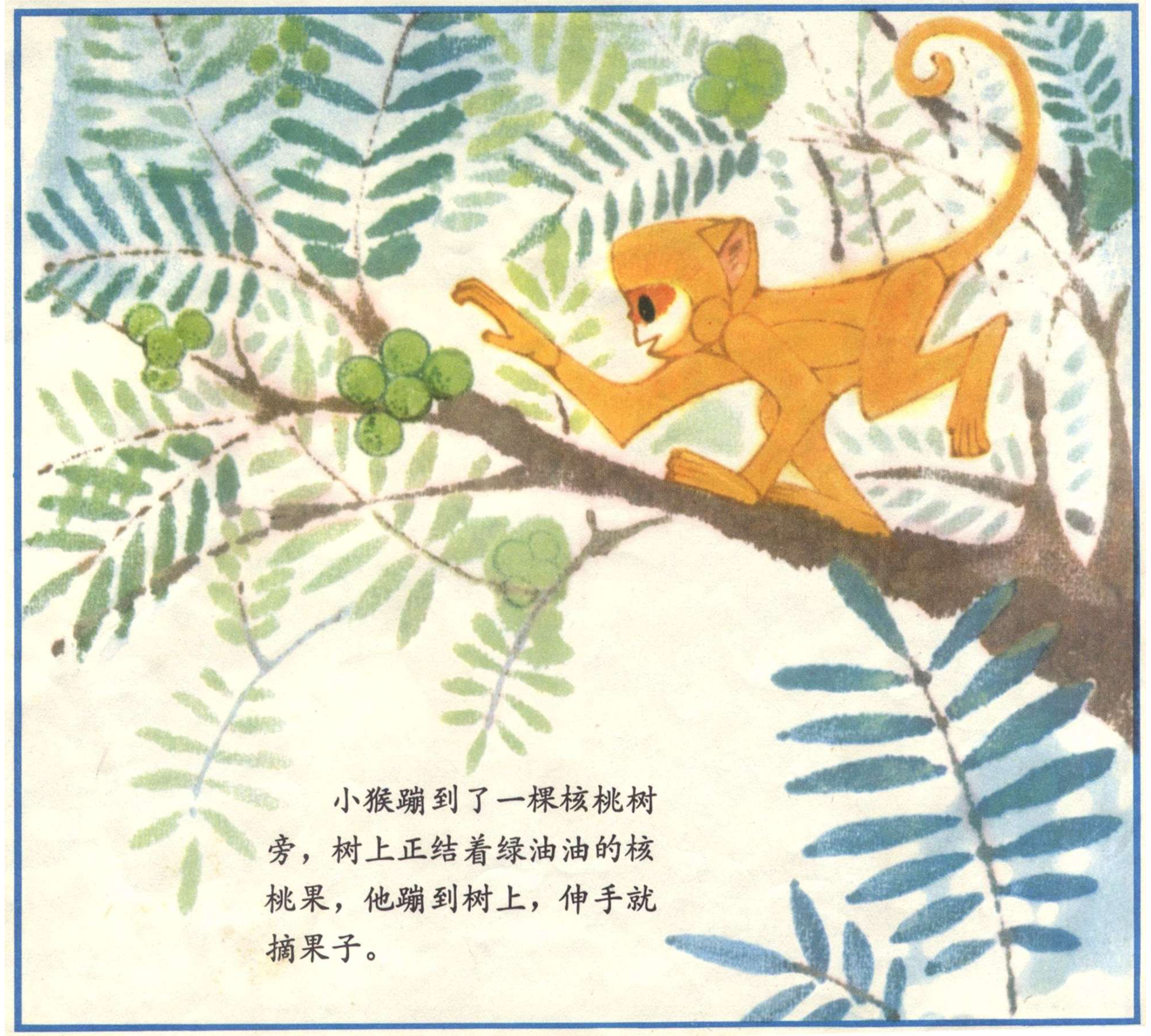小猴吃瓜果连环画,小猴吃瓜果儿童画
