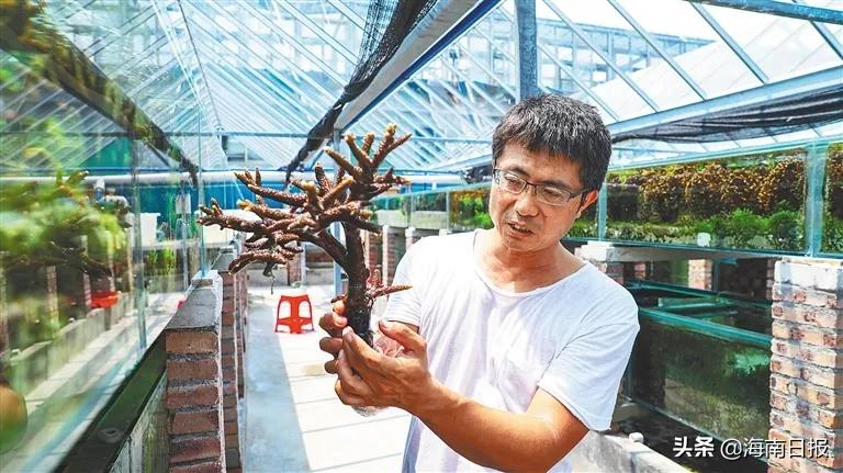 中国海洋牧场海南,海南海口海洋牧场