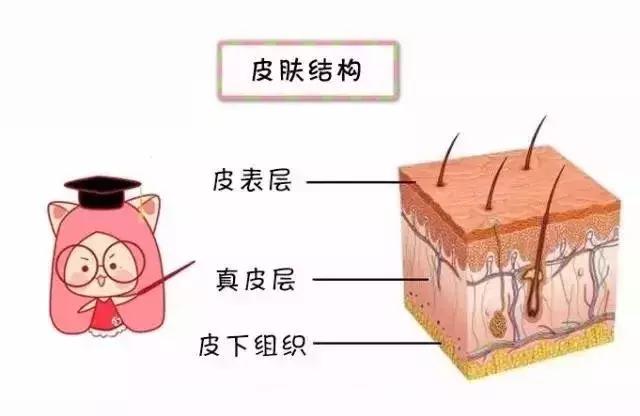 医学上脸皮厚的好处和坏处,皮肤科医生皮肤变好的4个习惯
