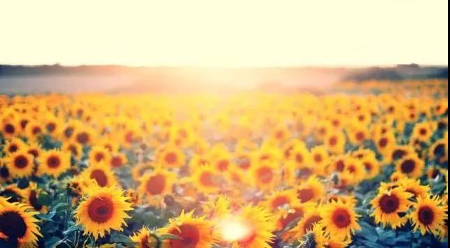 郑州被评为幸福城市有什么看法,2021郑州最具幸福感城市