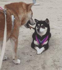 儿童游乐场利润大吗,儿童游乐园利润分析