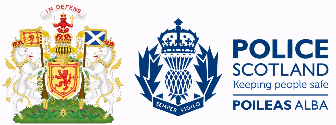 罕见的特种部队徽章,罕见徽章