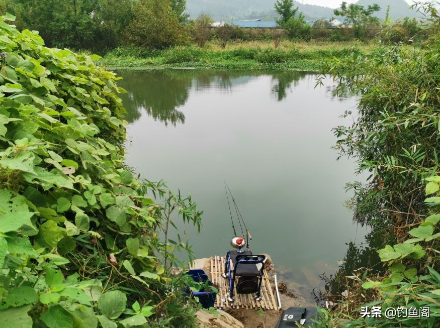 为什么野钓渔获越来越少,现在野钓基本没啥渔获