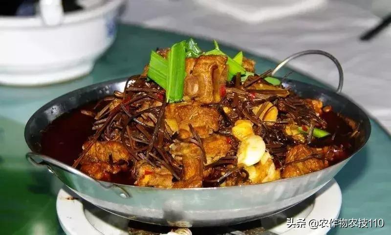 农村无本钱创业22种方法,农村创业100种商机