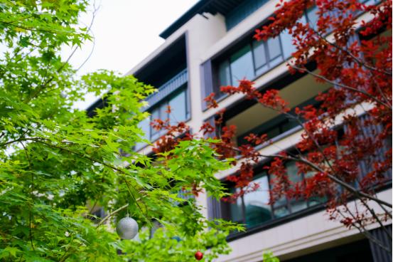 浪漫就是拥有一所静雅庭院院,与你一起云淡风轻