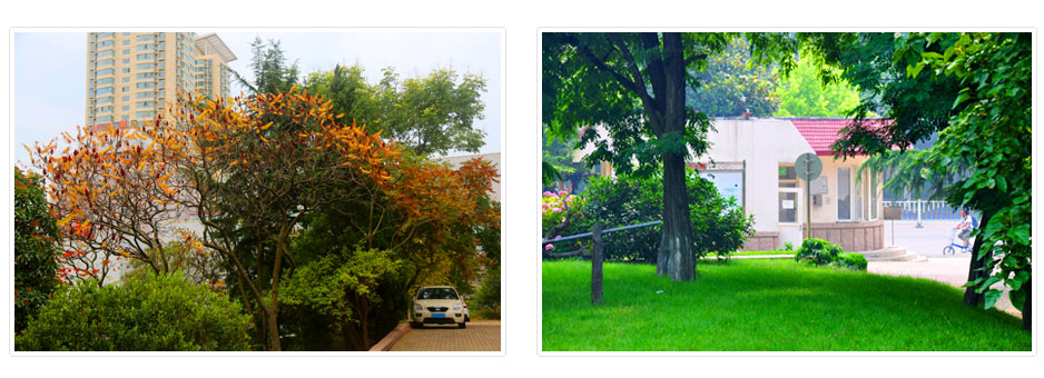 中国水产科学院淡水研究中心招聘,黄海水产研究所2024年研究生录取