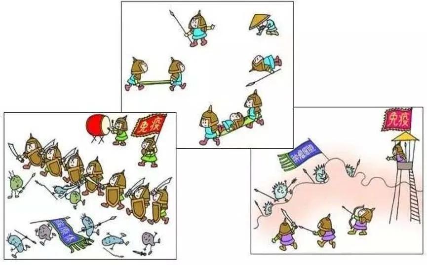 新西兰吃什么保健品好,新西兰提高免疫力的保健品