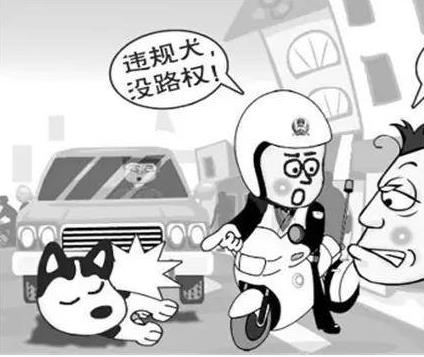 车撞死猫逃跑算不算肇事逃逸,车撞死狗跑了算逃逸吗