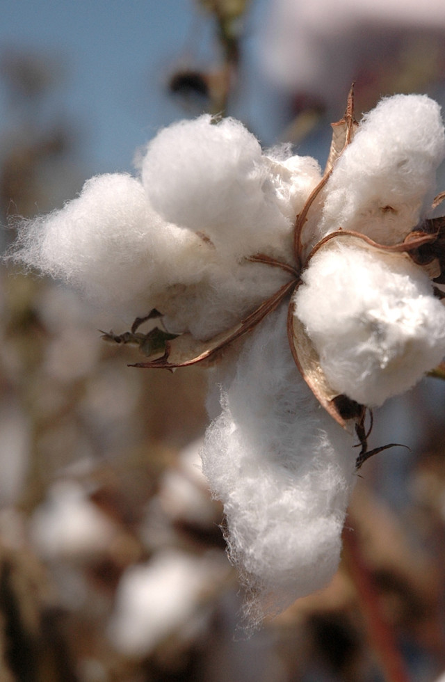 买不到小孩衣服,买不到好看的衣服开了个童装店